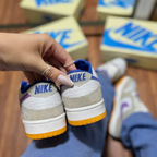 Tênis SB Dunk Low - raissa leal 24