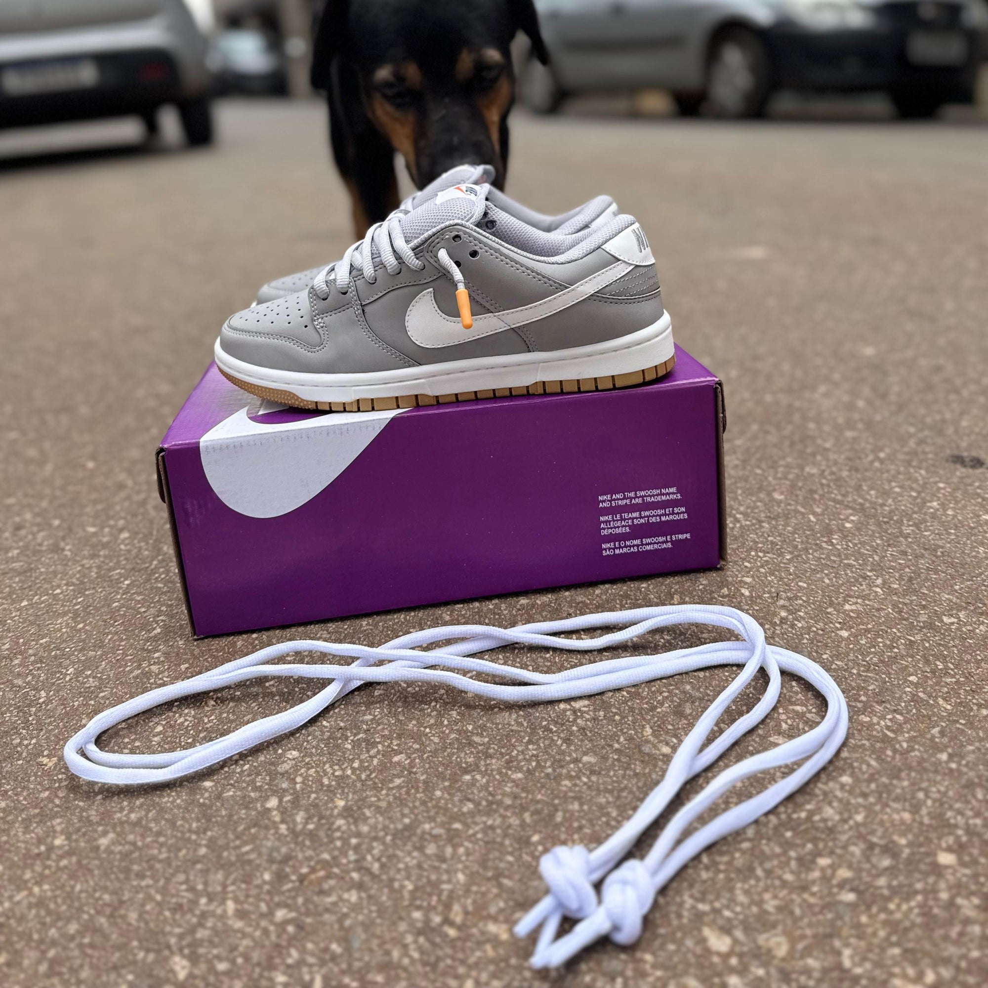 Tênis SB Dunk Grey Gum 🩶🤍🟤 – Linha Prime